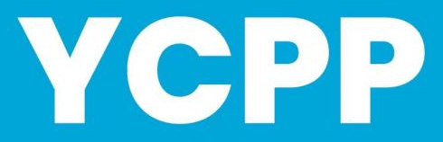 Young Chinese Professionals Program (YCPP)