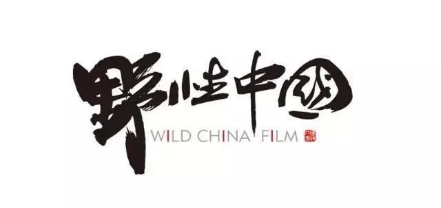 Wild China Film