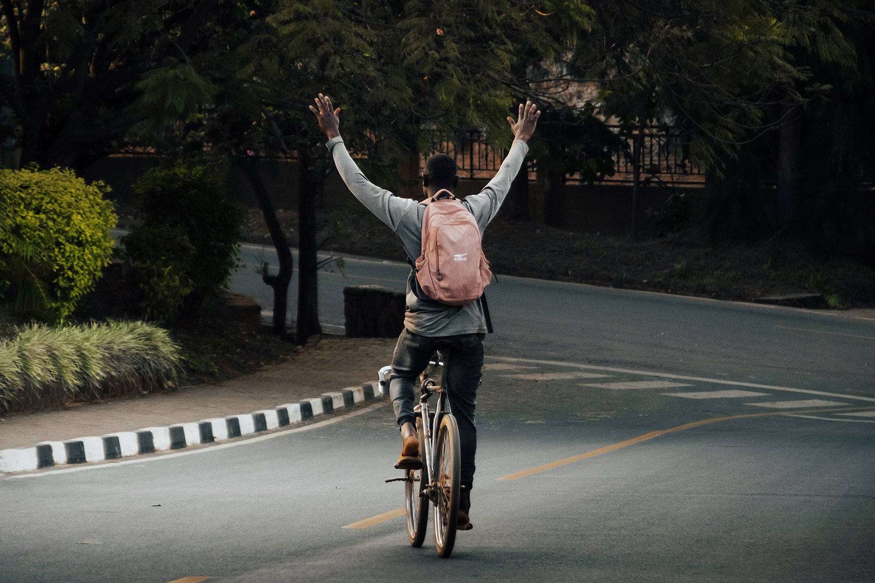 A cyclist lifts both hands on a road lined with green trees.