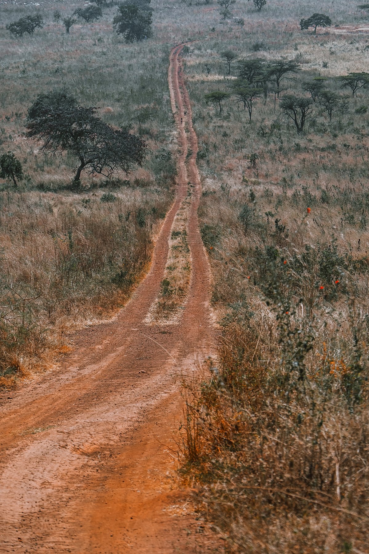 A red-earth road stretches into the distance through open grassland.