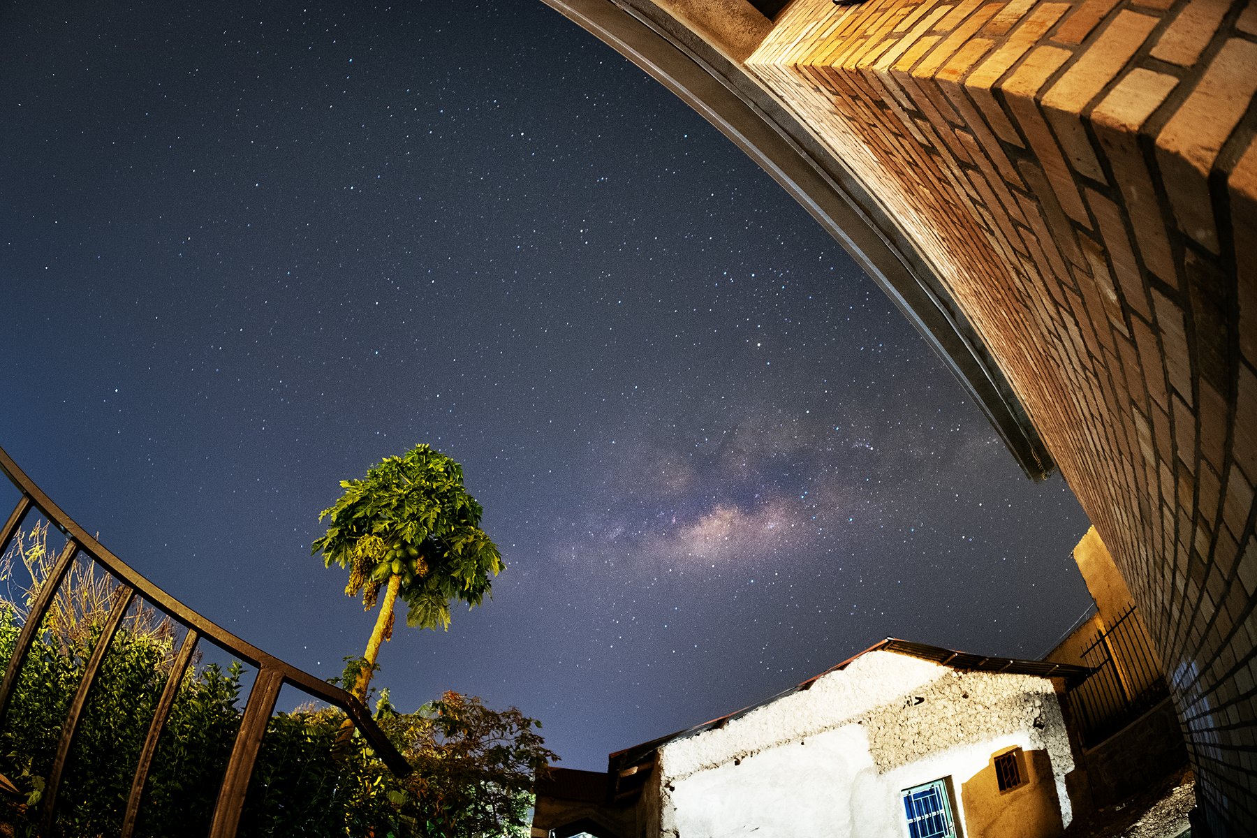 Rooflines and a tree frame a star-filled night sky.